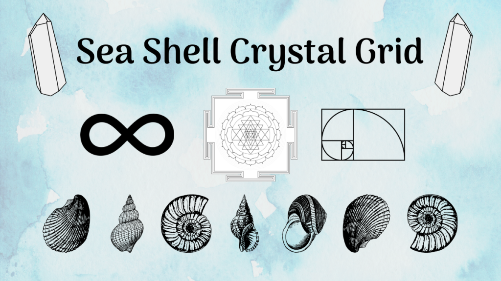 Sea Shell, Sacred Geometry, Crystal Grid, All Natural Spirit